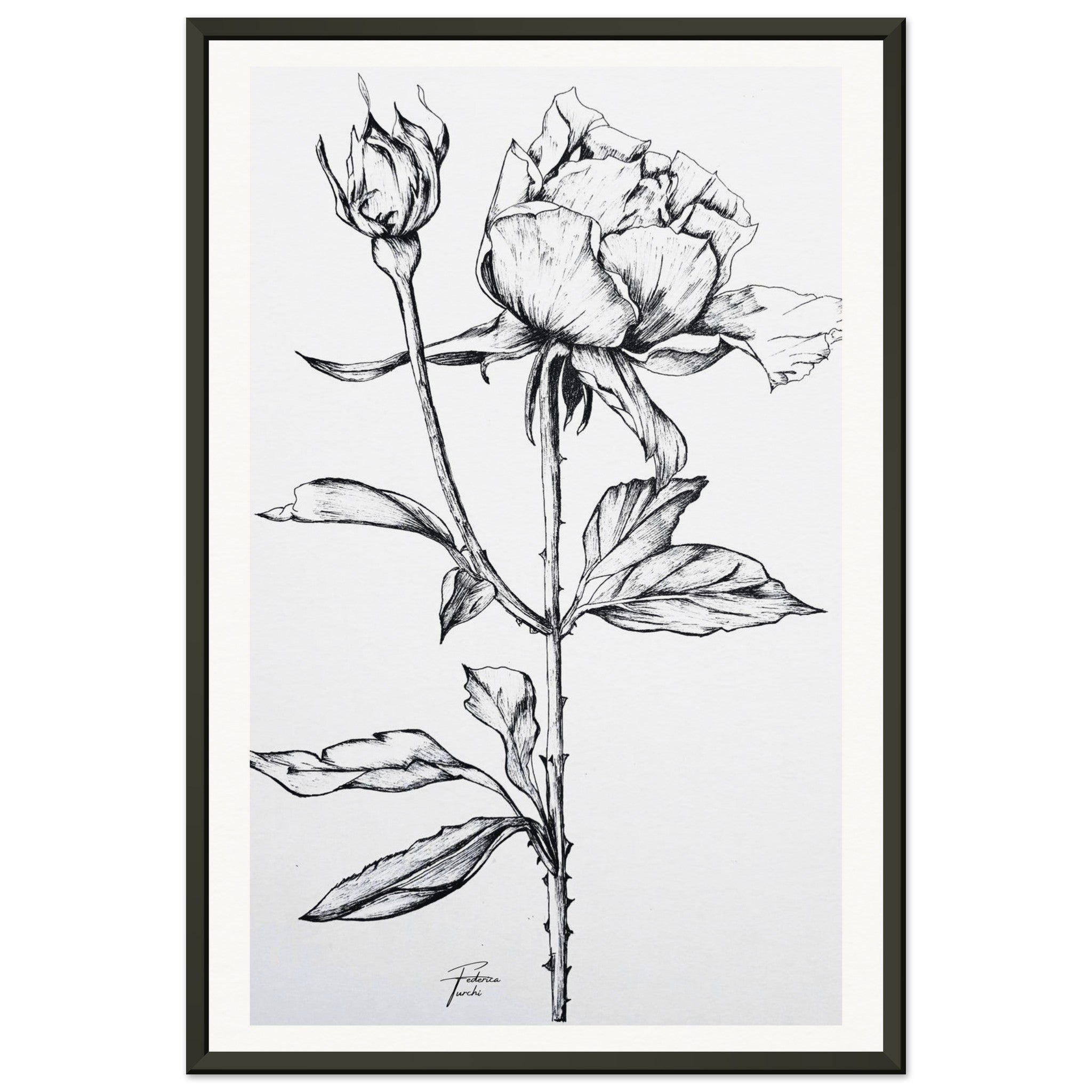 56200aa0-08bd-4065-8eb4-31bc55c73845