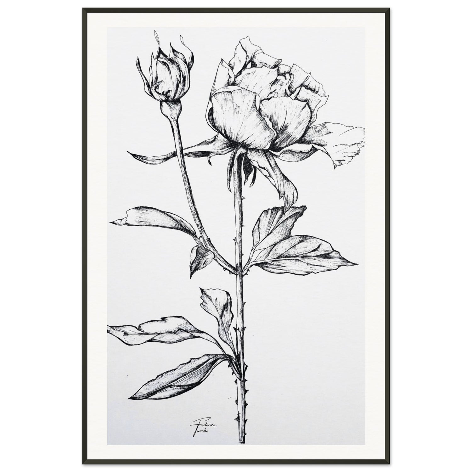 ce327be6-7edd-4dde-a845-4fcd925ede8a